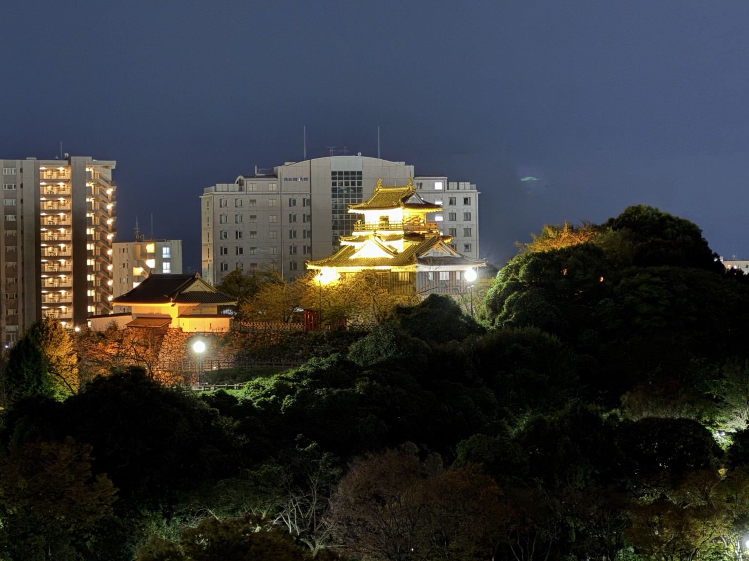 夜にライトアップされた出世城・浜松城